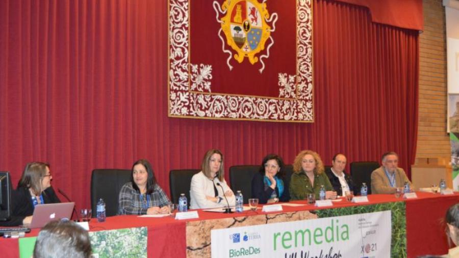 Autoridades participantes na apertura do VII Workshop da Rede Remedia