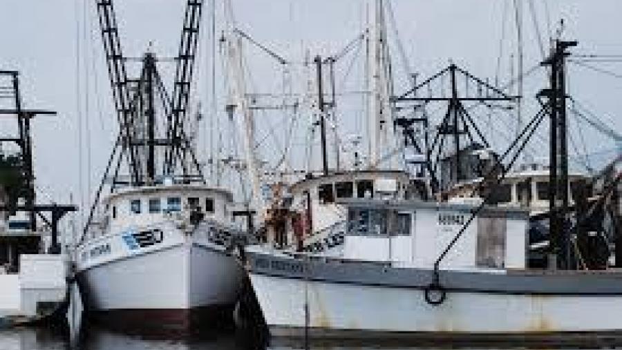 Expertos europeos analizan o sistema de reparto de cotas de pesca e os subsidios á pesca artesanal na política da Unión Europea