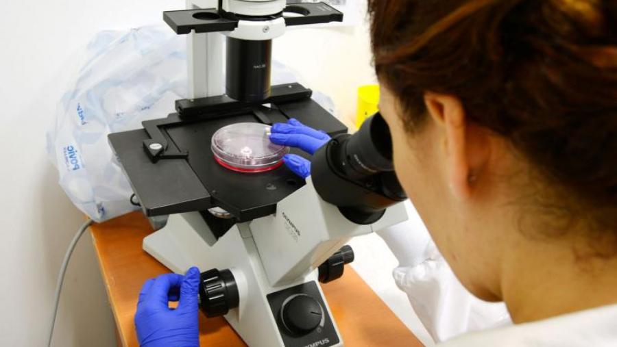 Tres programas de doutoramento da USC, seleccionados nas convocatorias de concorrencia europeas