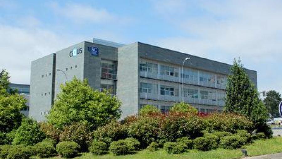 Integrantes del Grupo Bionanotools de Pablo del Pino en el CiQUS. De izquierda a derecha: Ester Polo, Beatriz Pelaz, Pablo del Pino, Raquel Martínez y Carolina Carrillo.  (Foto: Elena Mora / CiQUS)