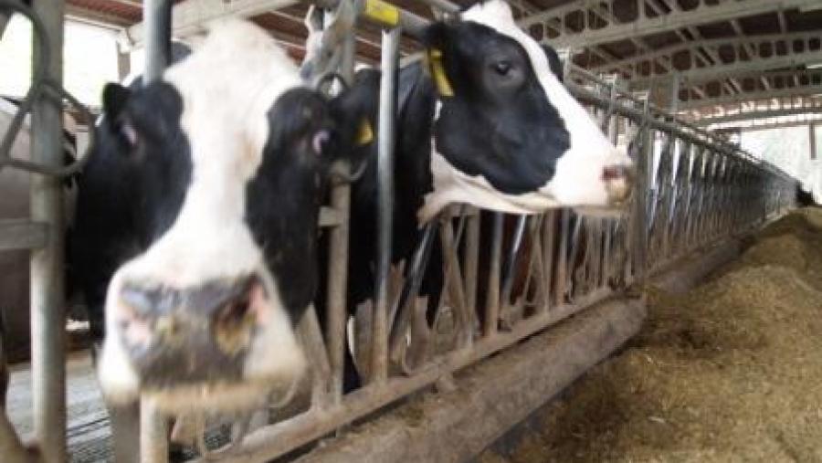 A EPS de Enxeñaría da USC e o Ligal lanzan a sexta edición do Máster en Produción de Leite, para o que se ofrecen 12 prazas