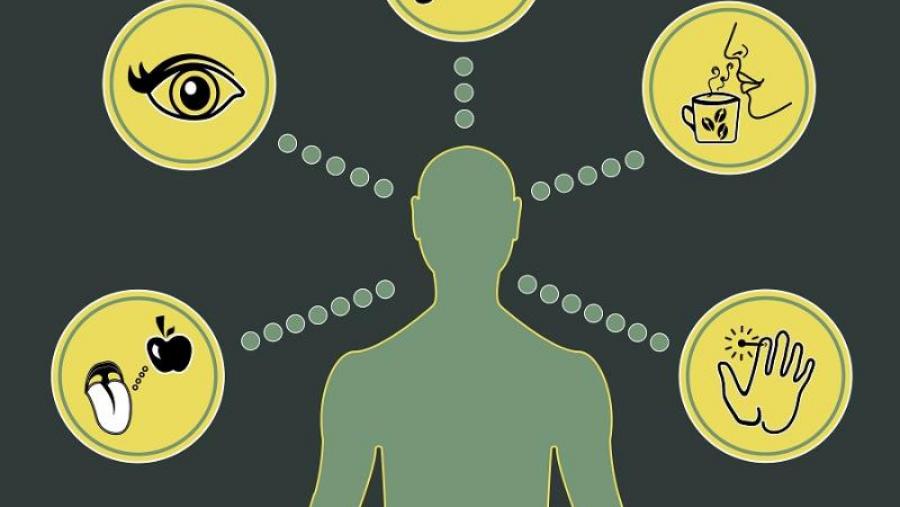 Imaxe conceptual de análise sensorial