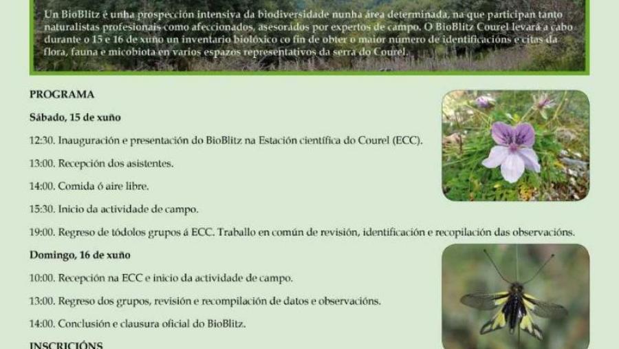 Cartaz do II Bioblitz Ancares-Courel