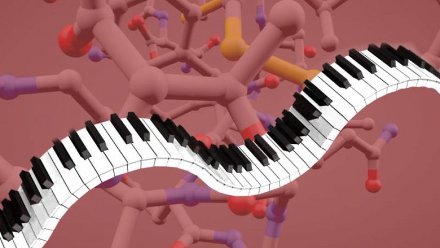 Os investigadores comparan as interaccións do novo sensor co funcionamento dun piano (Foto:Pixabay / CiQUS)