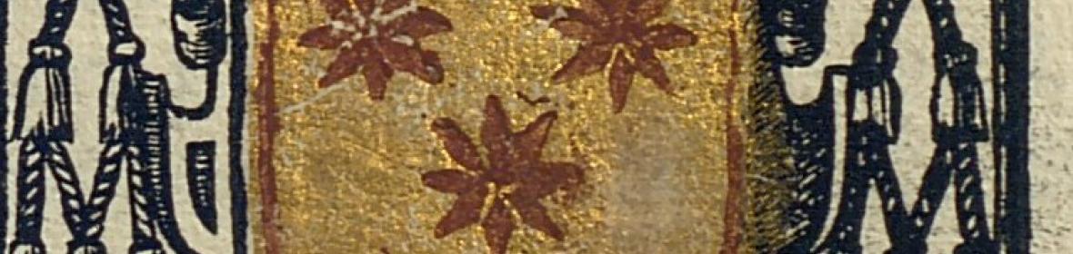 Imagen del fondo universitario