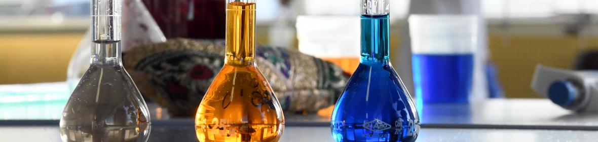 Apoio a persoal investigador entrante