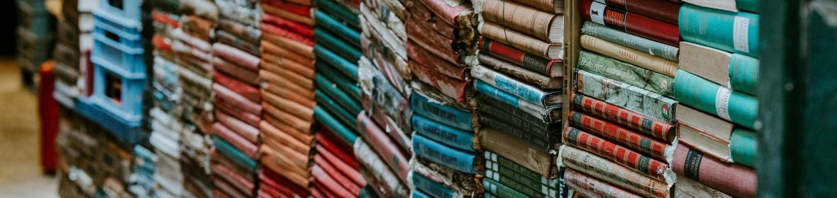 Francisco Fernández del Riego